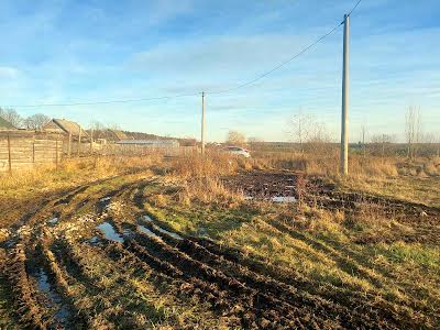 участок по адресу с. Ивановка, Польова