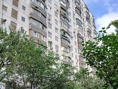 квартира за адресою Пантелеймона Куліша вул. (Челябінська), 17