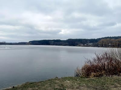 дом по адресу Леніна