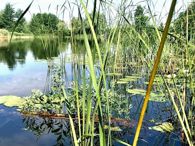 дом по адресу Береговая ул., 6