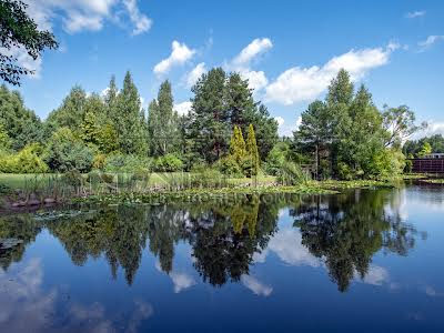 будинок за адресою с. Плюти, плютская