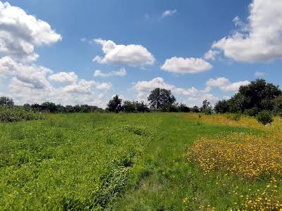 будинок за адресою с. Острійки, Миру