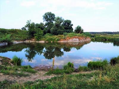 дом по адресу с. Черногородка, Садова, 10