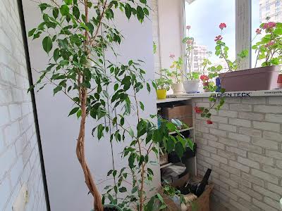 квартира за адресою Сергія Данченка вул., 3