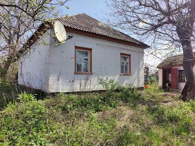 будинок за адресою с. Балаклея, Добросусідська, 22
