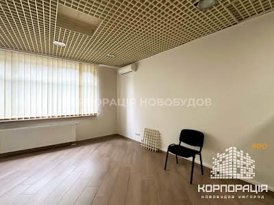 комерційна за адресою Жупанатська, 1