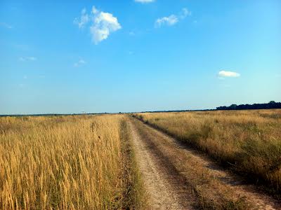 участок по адресу Село Щасливе