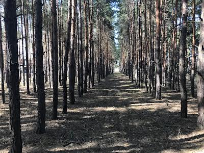 дом по адресу с. Лебедевка, Петра Сагайдачного, 50