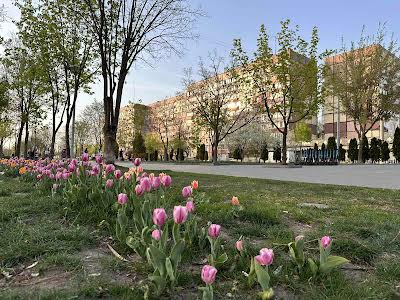 квартира за адресою Миру просп., 18