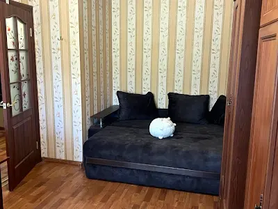 квартира за адресою Алана Шепарда вул. (Суворова), 13а