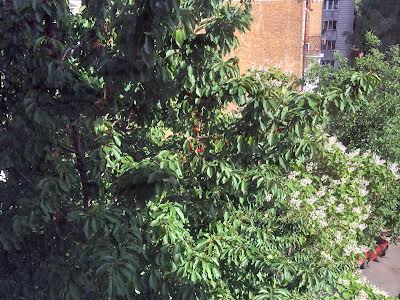 квартира за адресою Олександра Кониського вул., 37