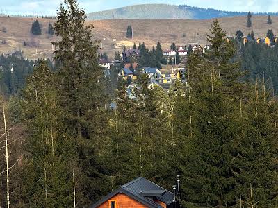 будинок за адресою с. Поляниця, Полонина Перці