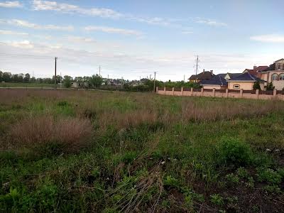 ділянка за адресою с. Княжичі, 