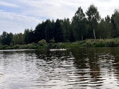 будинок за адресою с. Миколаївка, Лісова Поляна