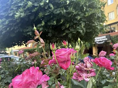 квартира по адресу Боголюбова ул., 14