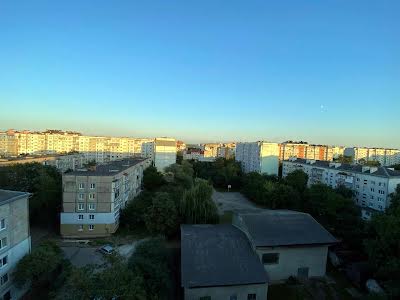 квартира за адресою Івана Миколайчука вул., 13