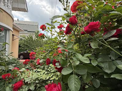 дом по адресу Лісова природа