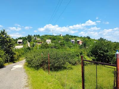 будинок за адресою с. Нижнє Солотвино, Польова