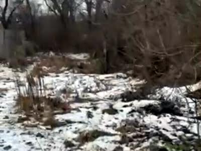 участок по адресу с. Вишенки, Героїв Космосу