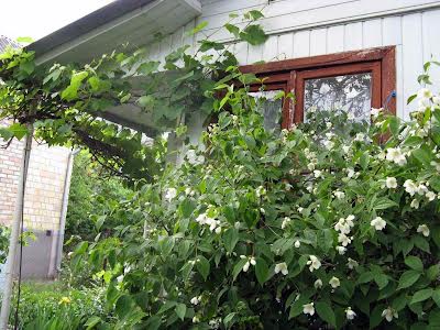 будинок за адресою Богатирська вул., 42