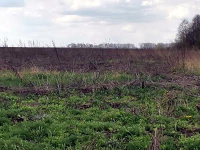 ділянка за адресою с. Агрономічне, 