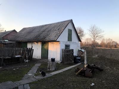 дом по адресу пгт. Брусилов, Тихі верби