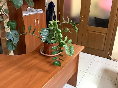 комерційна за адресою Михайлівська пл., 1