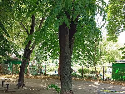 квартира по адресу Вольный пер., 3