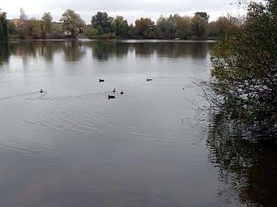 будинок за адресою Верховинна вул.