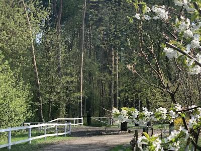 будинок за адресою с. Тарасівка, Зелена, 10