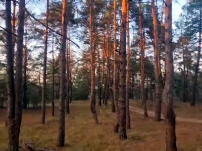 ділянка за адресою с. Жукин, 