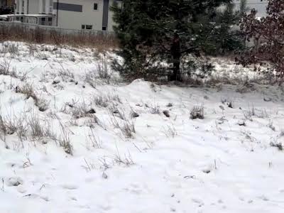 участок по адресу с. Вита-почтовая, Боярская ул.