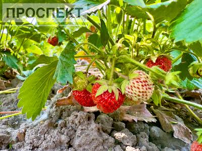 будинок за адресою Космічна вул., 2
