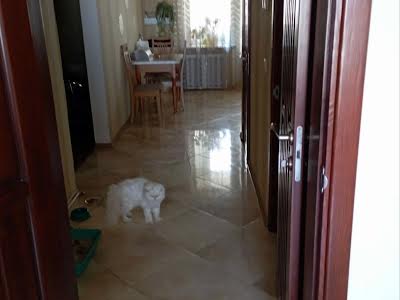 кімната за адресою Костянтина Данькевича вул., 8