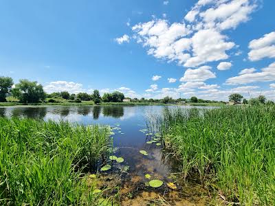 ділянка за адресою Лесі Українки, 1