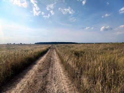 участок по адресу Борисполь, Село Щасливе