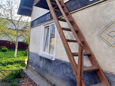 будинок за адресою Левицького, 235