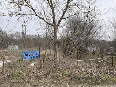 ділянка за адресою с. Буцнів, Абоикосова