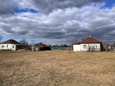 будинок за адресою Коцюбинського