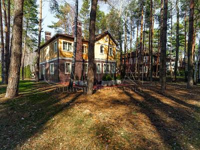 будинок за адресою Вишгородський