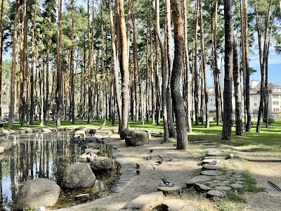 квартира за адресою Ірпінь, Університетська вул., 3/8