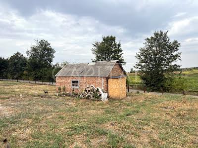 коммерческая по адресу с. Росава, Підгірний, 3