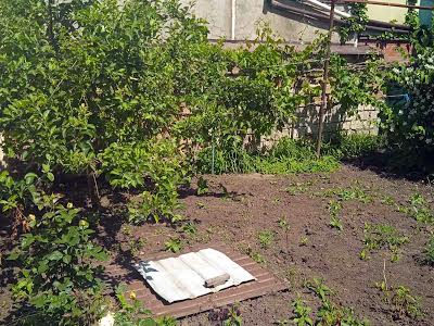 кімната за адресою Тіниста вул., 6