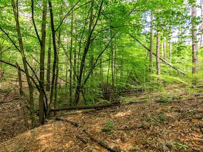 будинок за адресою с. Нові Петрівці, Оболонський