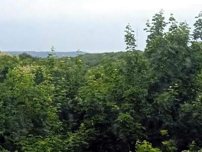 квартира по адресу Пасечная ул., 13а