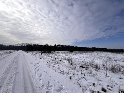 ділянка за адресою с. Березівка, 