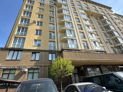 комерційна за адресою Антіна Манастирського вул. (), 6