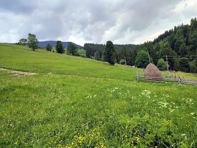 ділянка за адресою с. Кривопілля, коротеньке