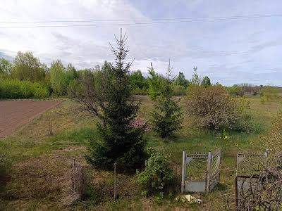 будинок за адресою Соснова, 376