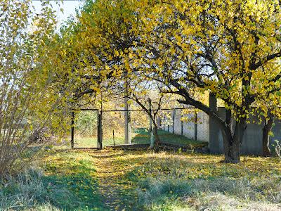 будинок за адресою с. Піщанка, Робоча